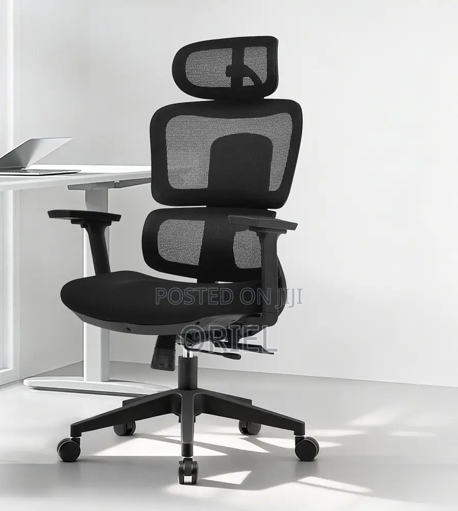 Modern Office Chair : Office Stylish Ergonomic Orthopedic Chair