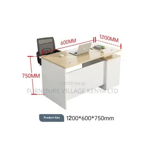 1200mm Ergonomic Simple Office Study Desk