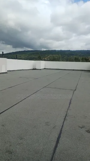 Roof Waterproofing, - Leaking Roof / New Roof App Membrane