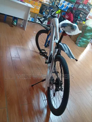 Bike Raid Pro Foldable Bicycle Size 29 for Adults