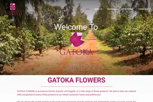 Website Design and Development