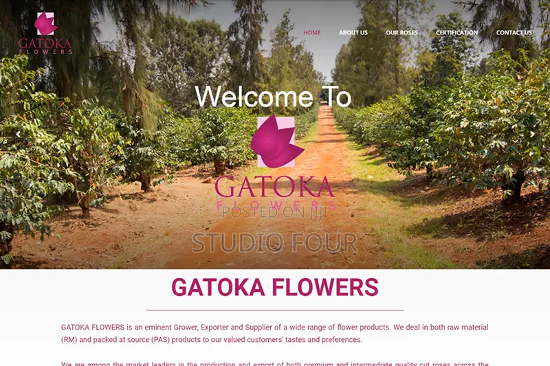 Website Design and Development