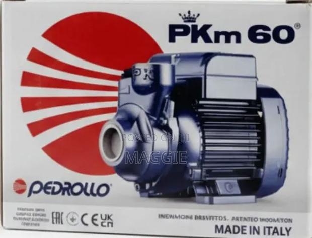 0.5hp Pkm60 Pedrollo - main view