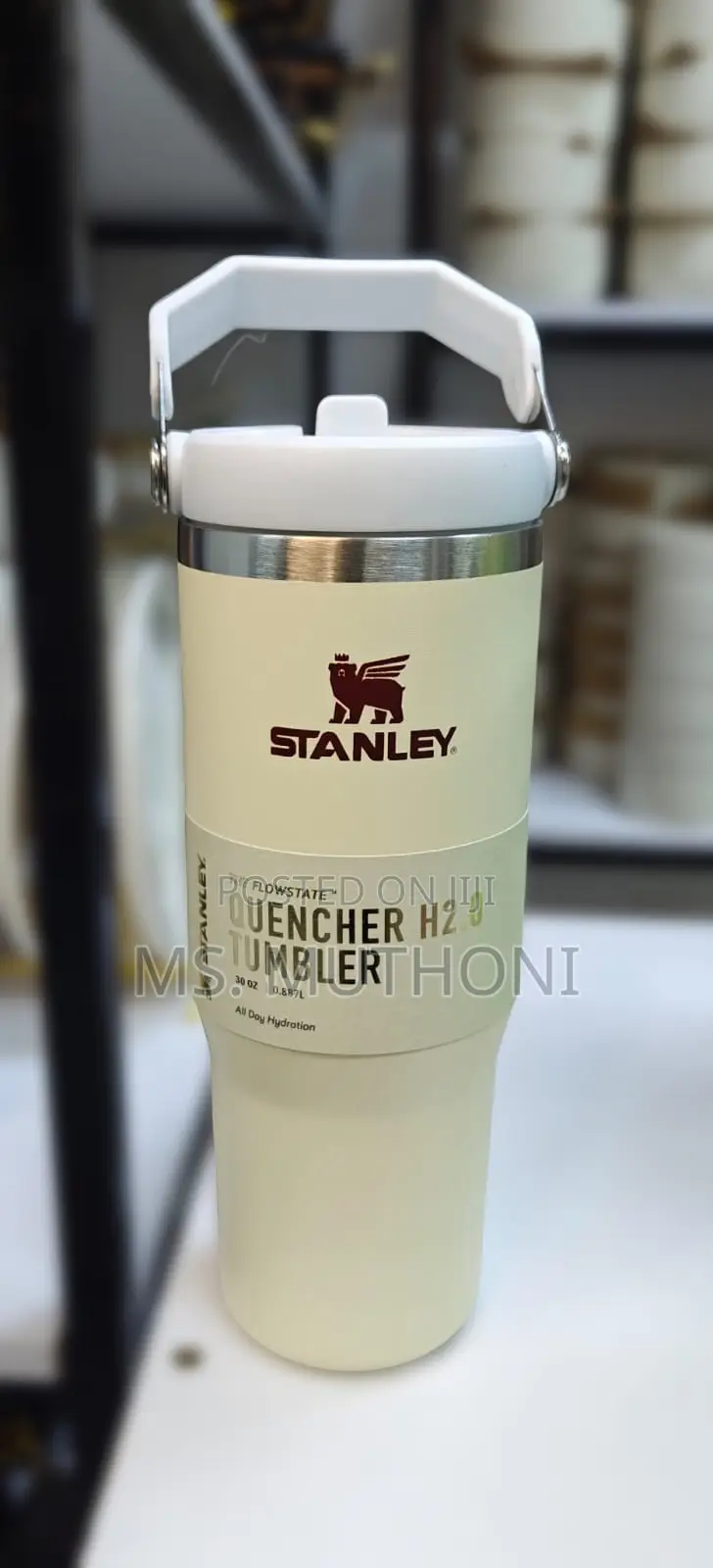 800 Ml Kids Stanley Ice Flow Tumblers