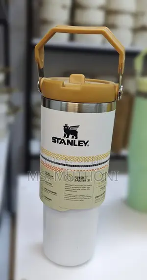 800 Ml Kids Stanley Ice Flow Tumblers