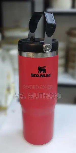 800 Ml Kids Stanley Ice Flow Tumblers
