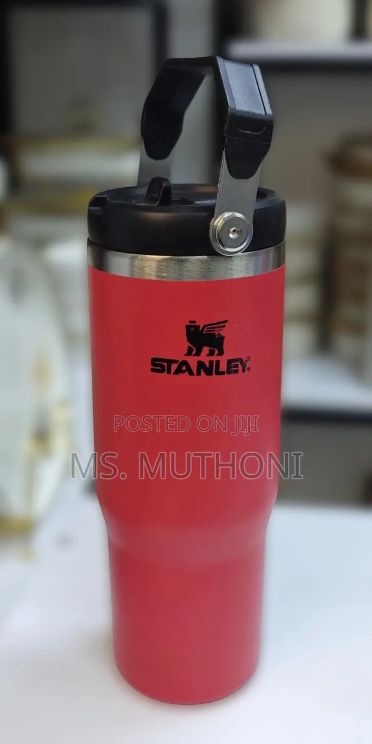 800 Ml Kids Stanley Ice Flow Tumblers