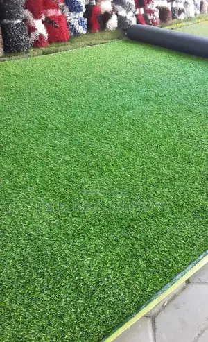 Artificial Grass Carpet for Modern Outdoor Flooring