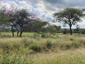 30acres for Sale(Imaroro-Mashuru)