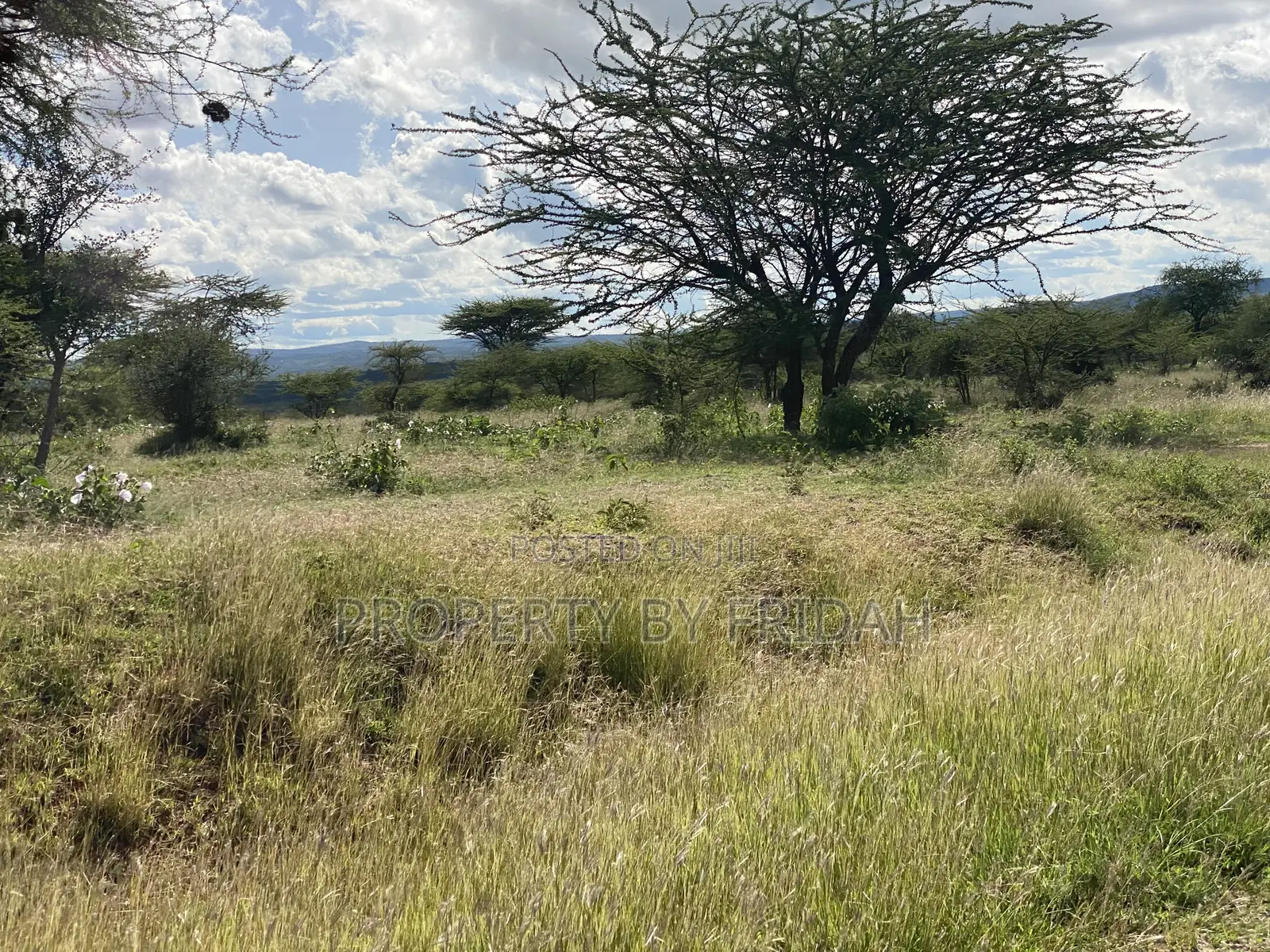 30acres for Sale(Imaroro-Mashuru)