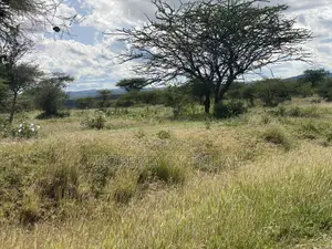 30acres for Sale(Imaroro-Mashuru)