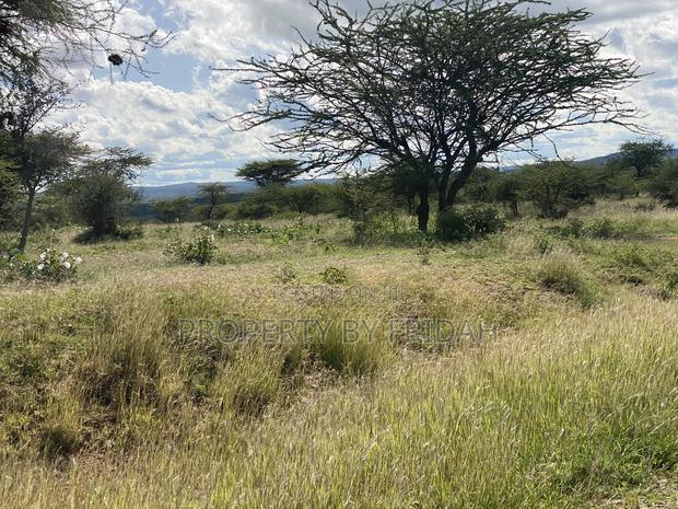 30acres for Sale(Imaroro-Mashuru) - thumbnail 3