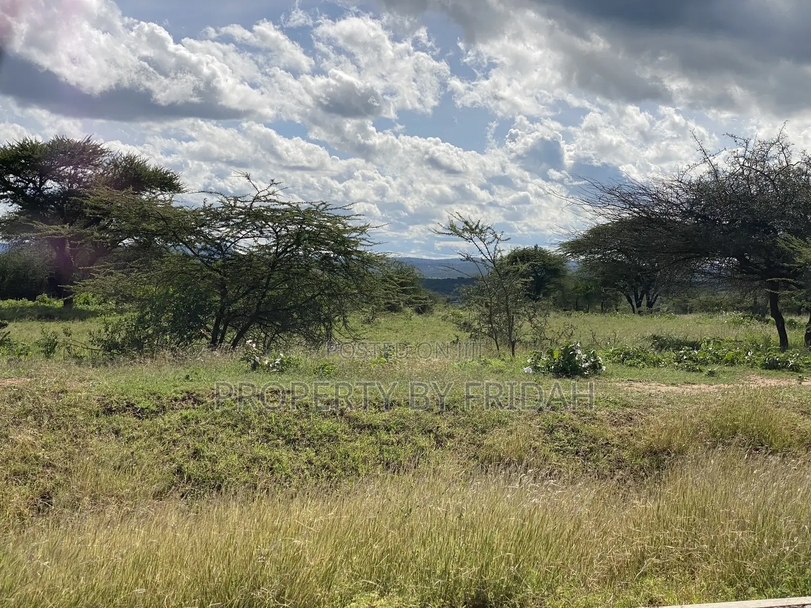 30acres for Sale(Imaroro-Mashuru)