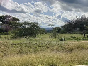 30acres for Sale(Imaroro-Mashuru)