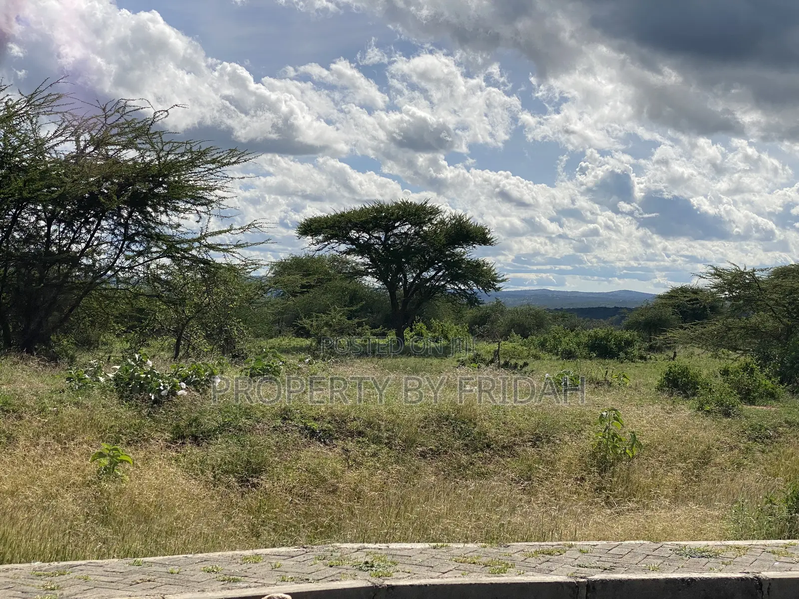 30acres for Sale(Imaroro-Mashuru)