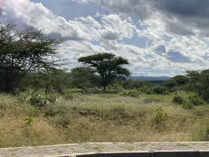 30acres for Sale(Imaroro-Mashuru)