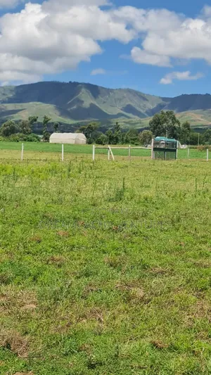 Residential Plots