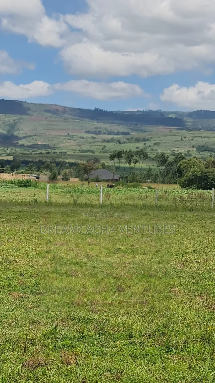 Residential Plots