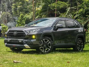 Toyota RAV4 Adventure AWD 2020 Gray