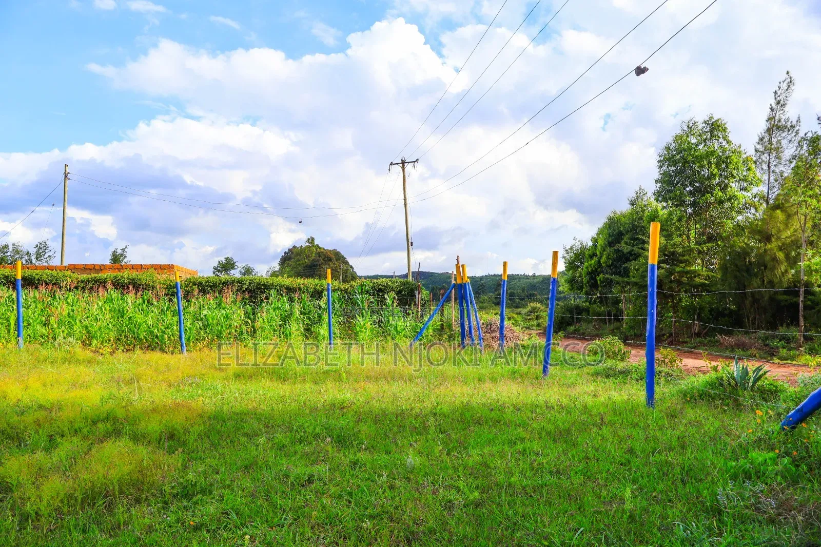 50 by 100 Plots in Kamangu