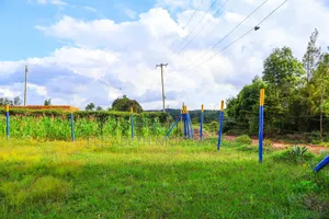 50 by 100 Plots in Kamangu