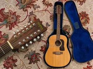 12 String Accoustic Guitar