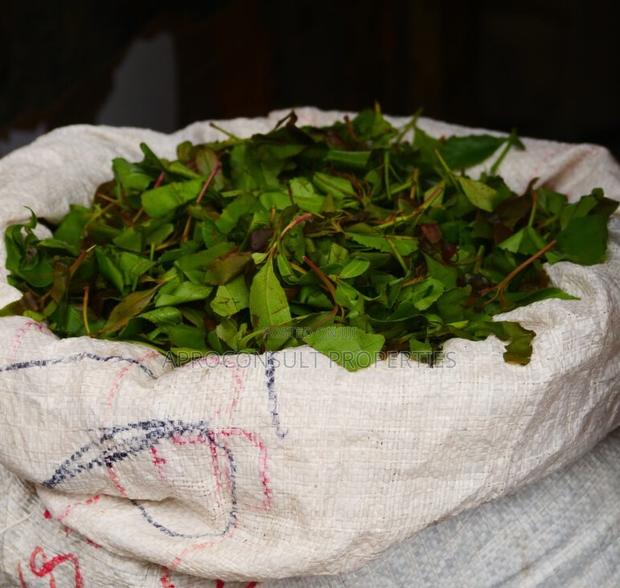 Land for Sale 3.5 Acres Near Naromoru With Miraa Plantation Ksh. 13m