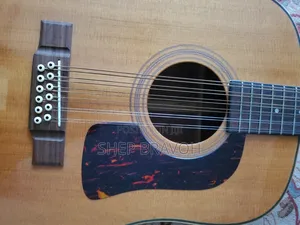 12 String Accoustic Guitar