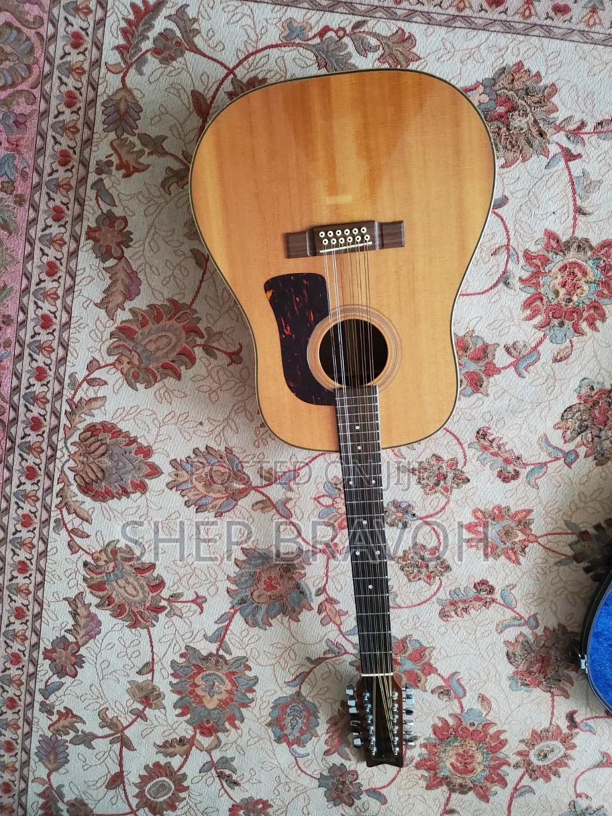 12 String Accoustic Guitar