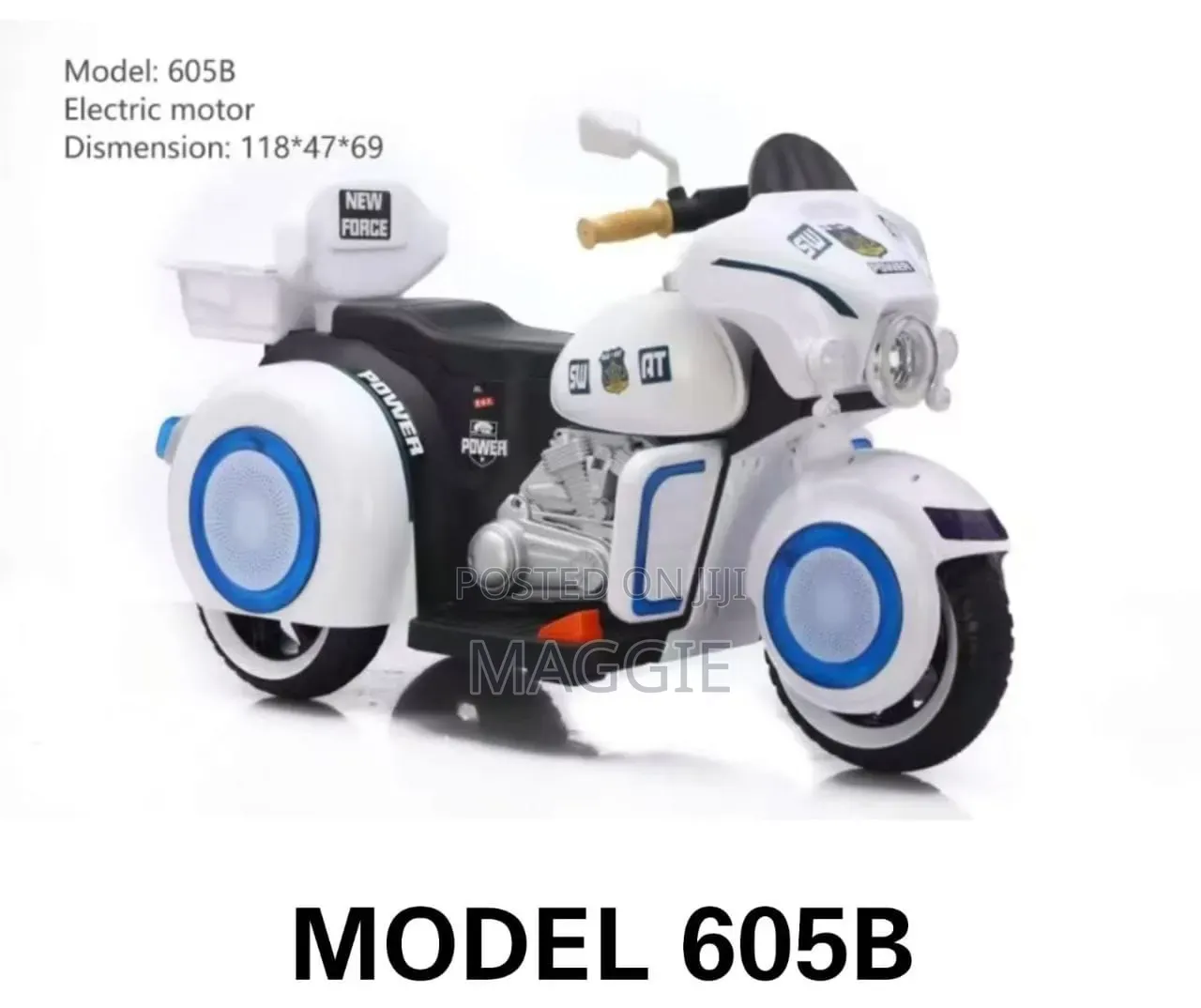 Model 605b Electric Motor
