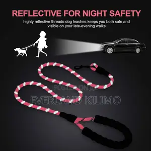 Strong Braided Rope Leash, Comfortable Padded Handle