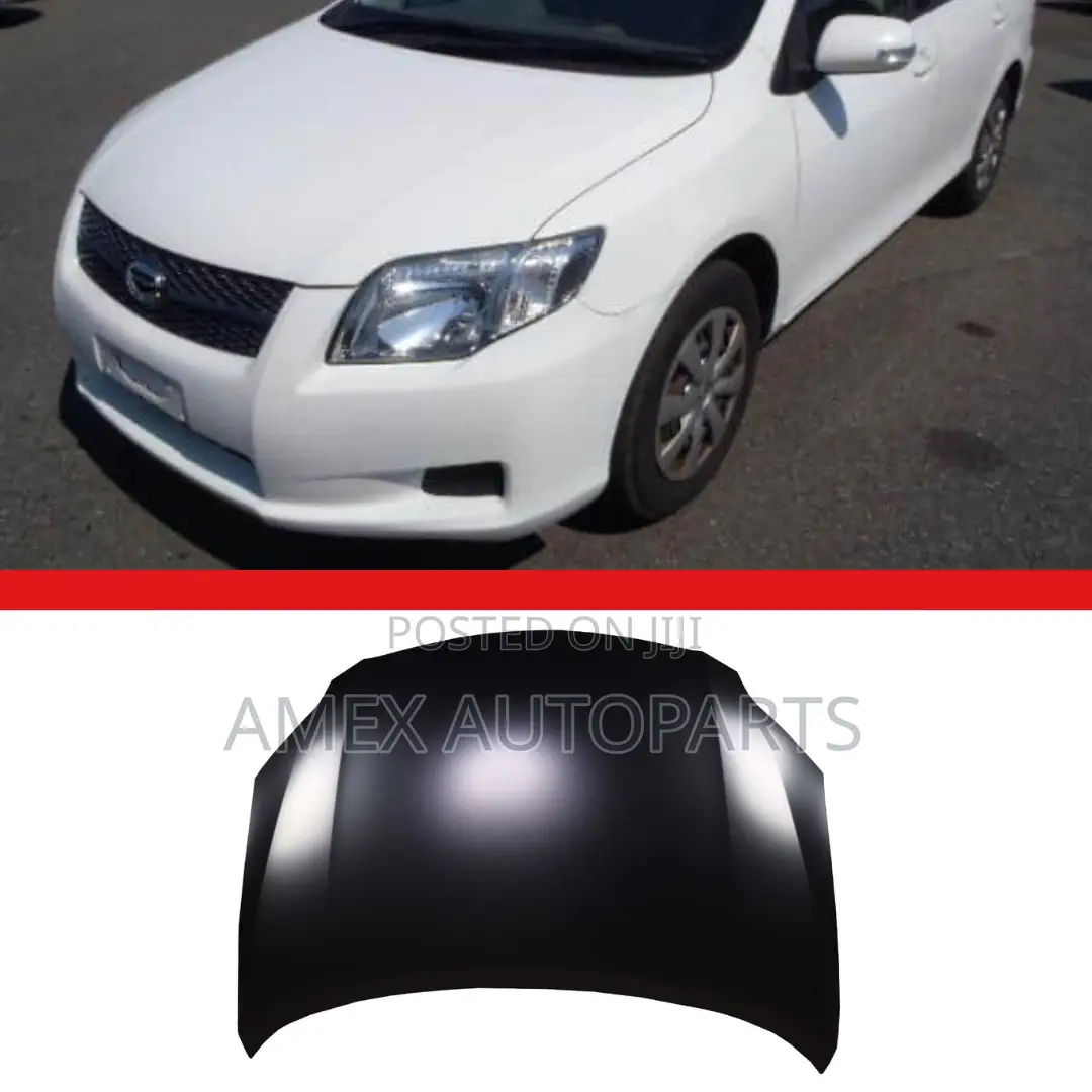 Bonnet Toyota Corolla Axio Fielder 08 (Amex)