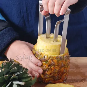 Pineapple Corer Tool