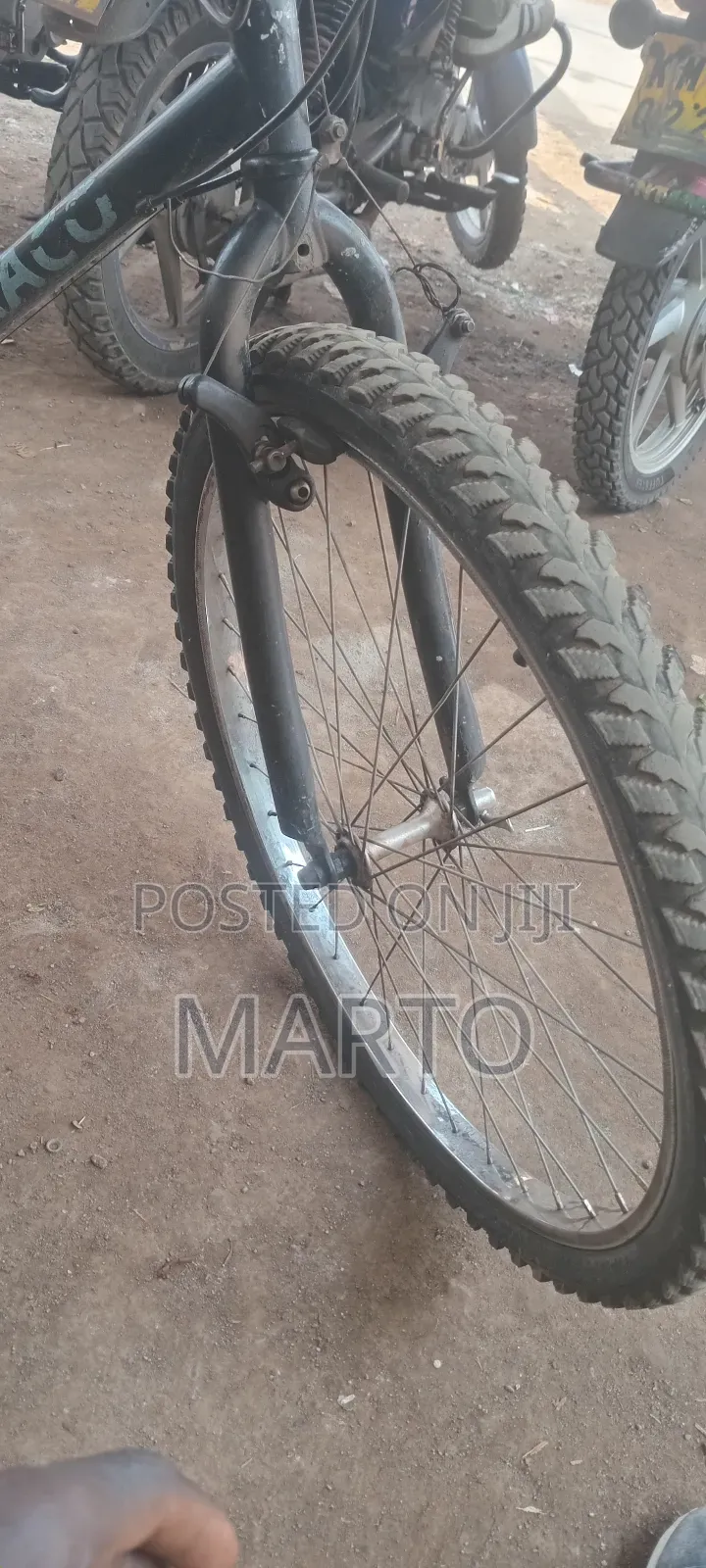 Mountain Bike