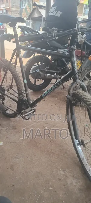Mountain Bike