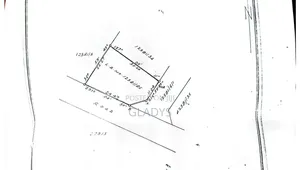50 by 100 Plots