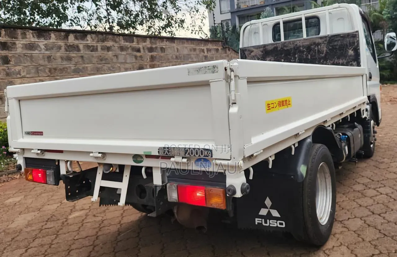 Mitsubishi Fuso 2019