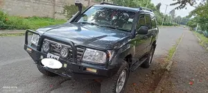 Toyota Land Cruiser 2005 Gray