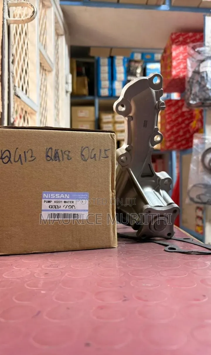 Water Pump Nissan Qg15,
