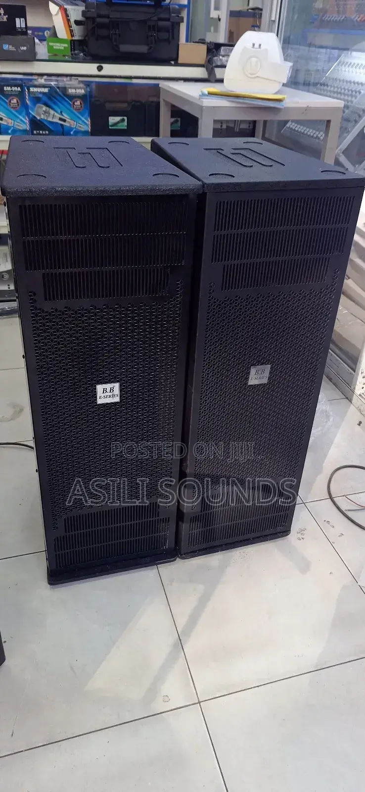 Boss Bass 12 Inches Double Speaker