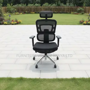 Orthopedic Adjustable Mesh Home Chair
