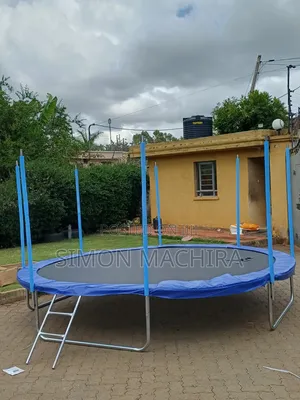 Trampoline With Ladder 12ft Wide