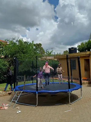 Trampoline With Ladder 12ft Wide