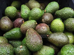 "Fresh Creamy Avocados"
