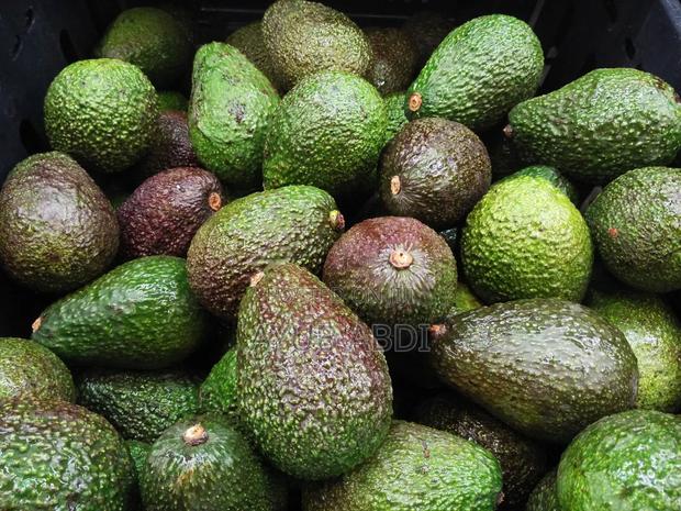 "Fresh Creamy Avocados"
