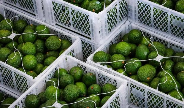 "Fresh Creamy Avocados" - thumbnail 2