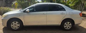 Toyota Axio 2009 Silver