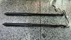 Lexus Rx 350/450 H 2015-2019 Electric Boot Shocks