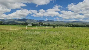 Residential Plots