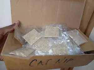Catnip For Cats